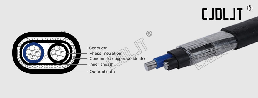 3 Core Aluminum Concentric Cable